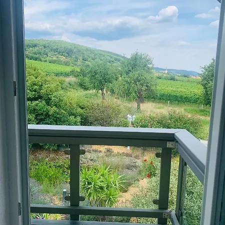 Gaestehaus Helbighof 4* Neustadt an der Weinstraße