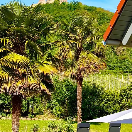 Gaestehaus Helbighof 3* Neustadt an der Weinstraße