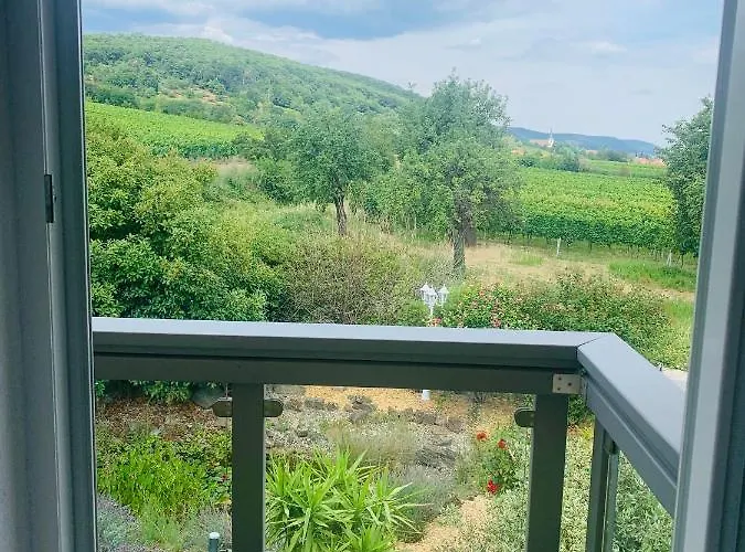 Gaestehaus Helbighof 4* Neustadt an der Weinstraße