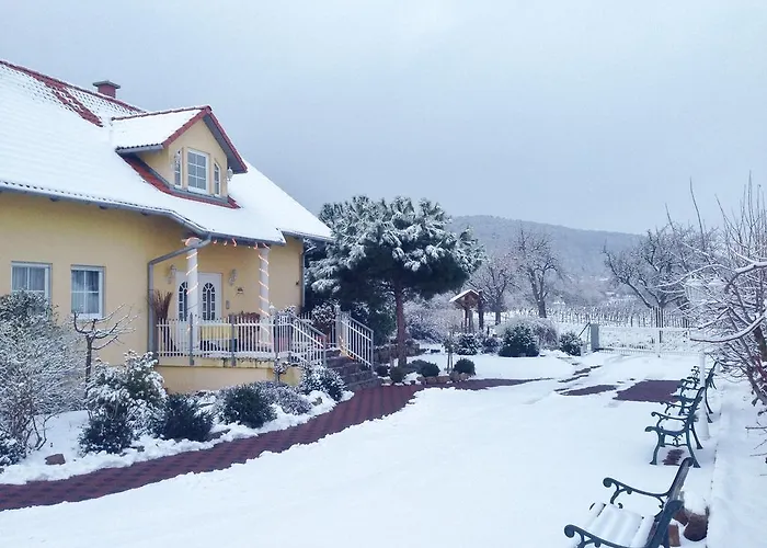 Gaestehaus Helbighof Pensión 4*